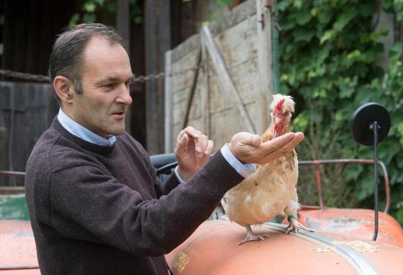 带1个卧室的公寓, Landsitz Pichlschloss