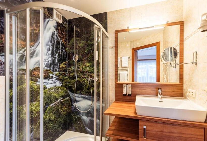 غرفة كومفورت, Lohningerhof