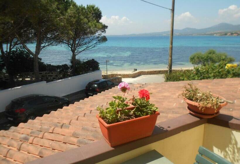 חדר משפחתי נוף לים, Tabby