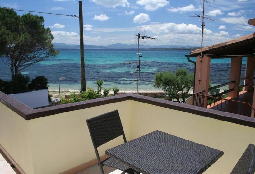 חדר משפחתי נוף לים, Tabby