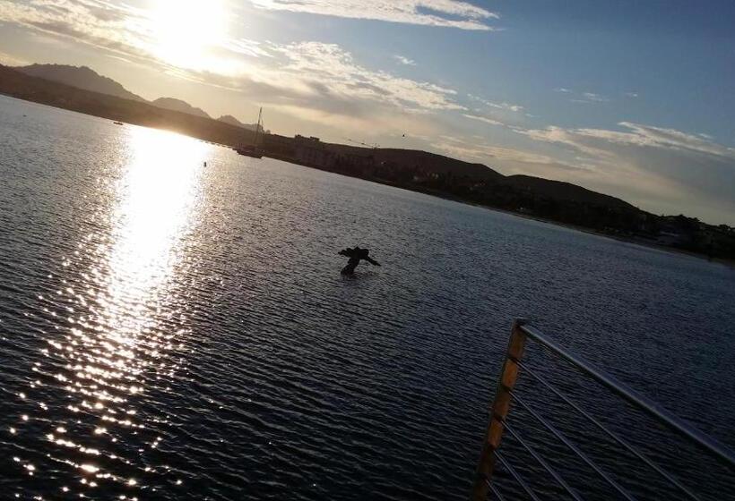 סוויטה עם טרסה, Tabby