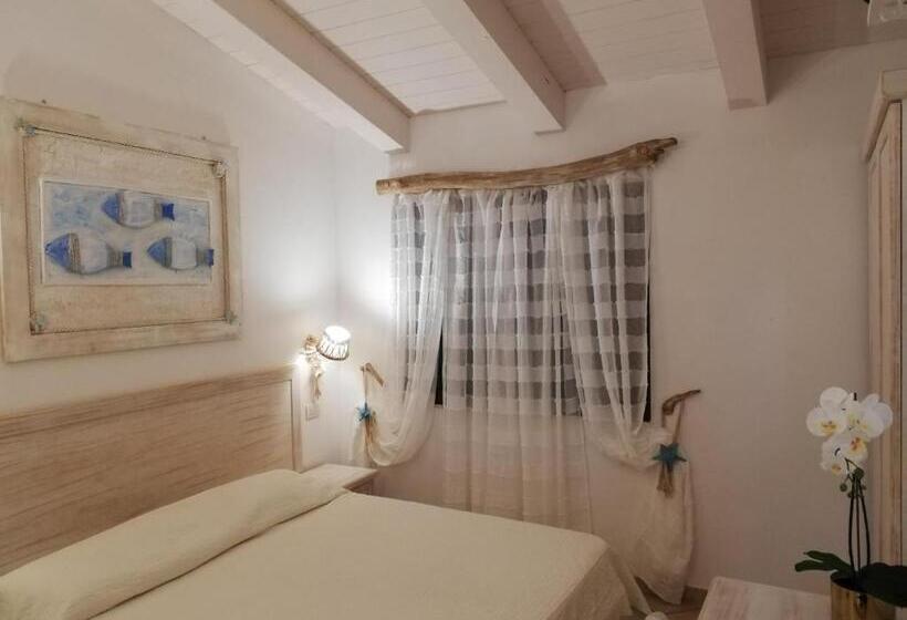 חדר קומפורט, Tabby