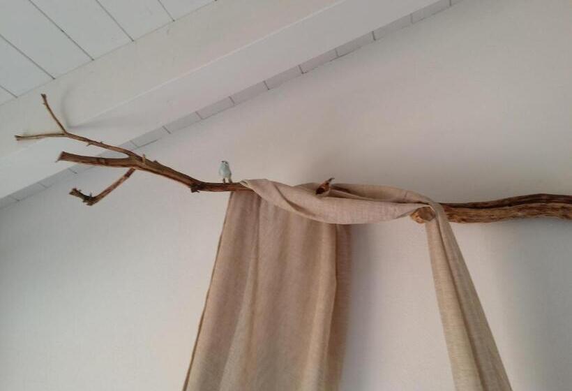 חדר קומפורט, Tabby