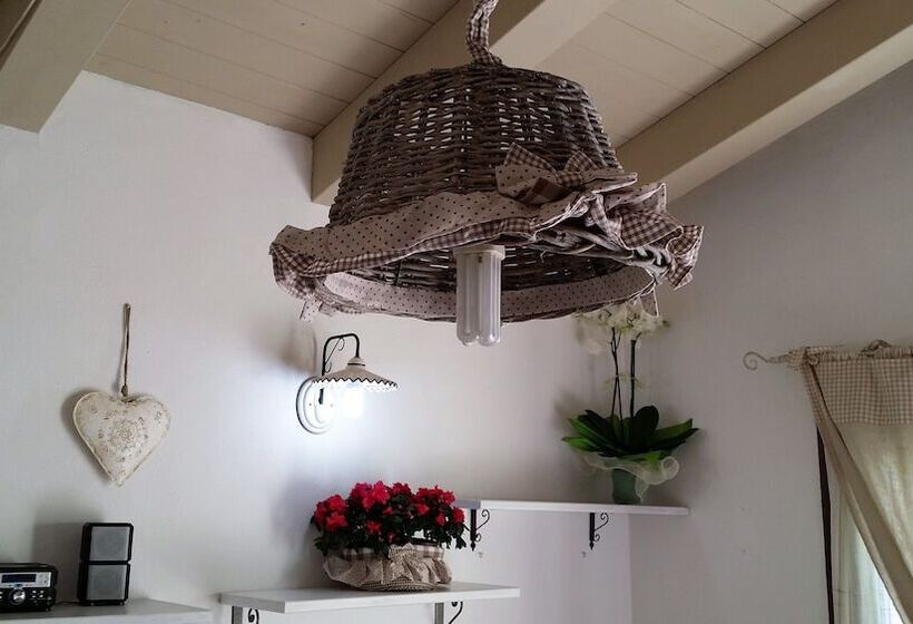 סוויטה עם טרסה, Tabby