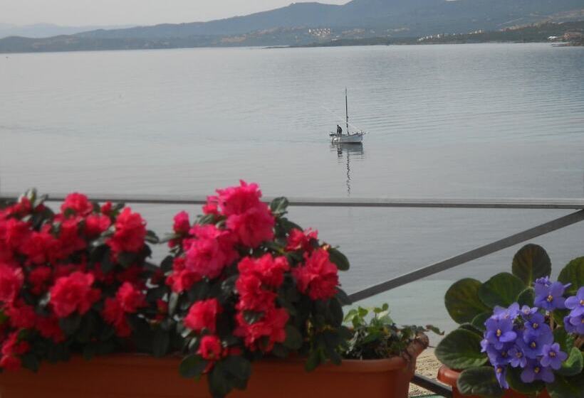 סוויטה עם טרסה, Tabby