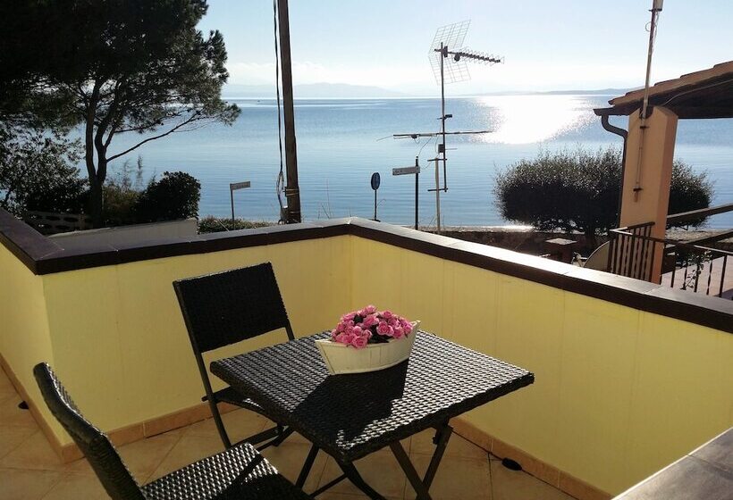 חדר סטנדרט לארבעה נוף לים, Tabby