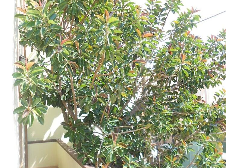 חדר סטנדרט לארבעה נוף לים, Tabby