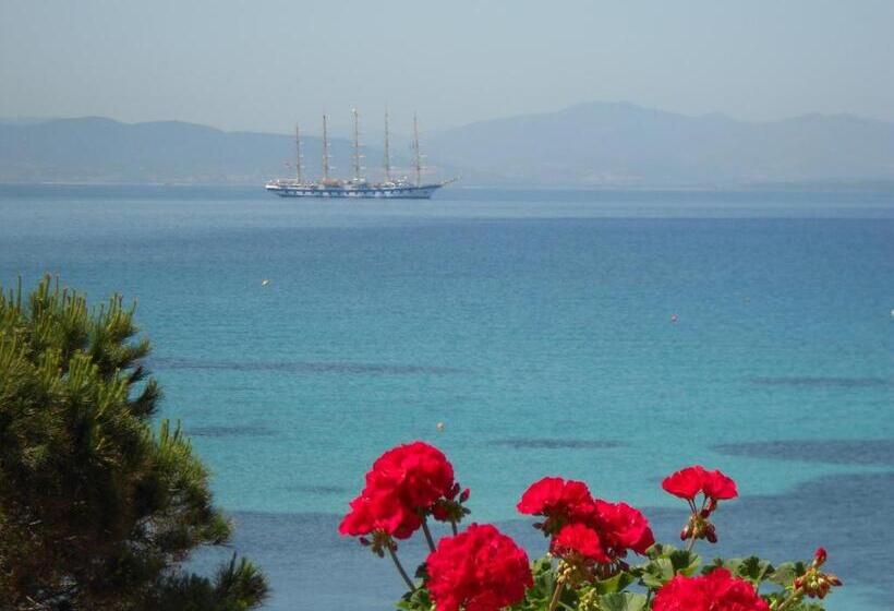 סוויטה עם טרסה, Tabby