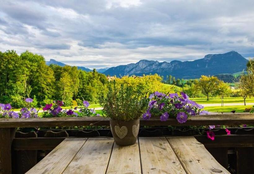 اتاق استاندارد با بالکن, Rauhbergerhof