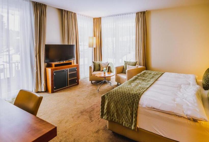 اتاق استاندارد با بالکن, Seehotel Süd
