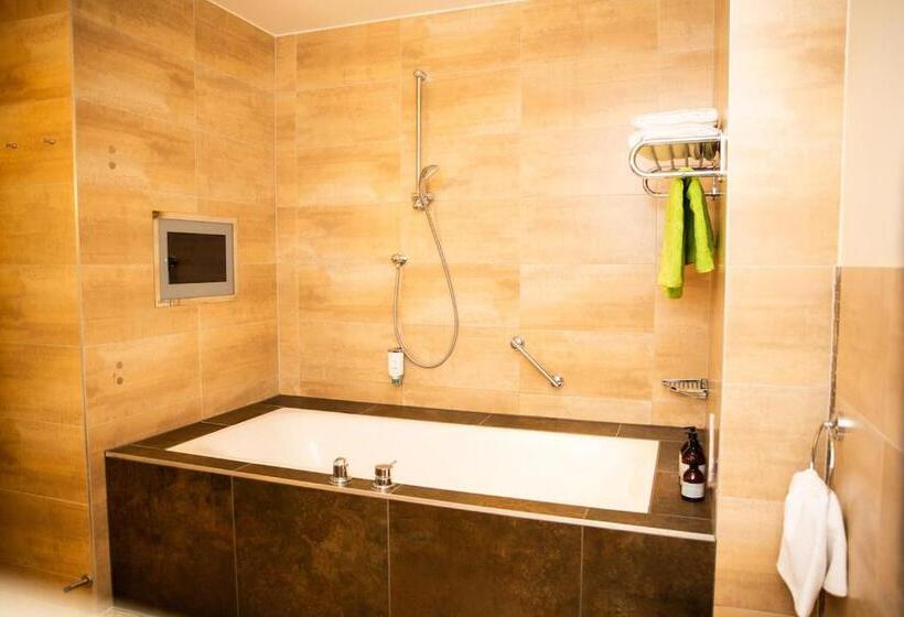 סוויטת ג'וניור עם מרפסת, Seehotel Süd