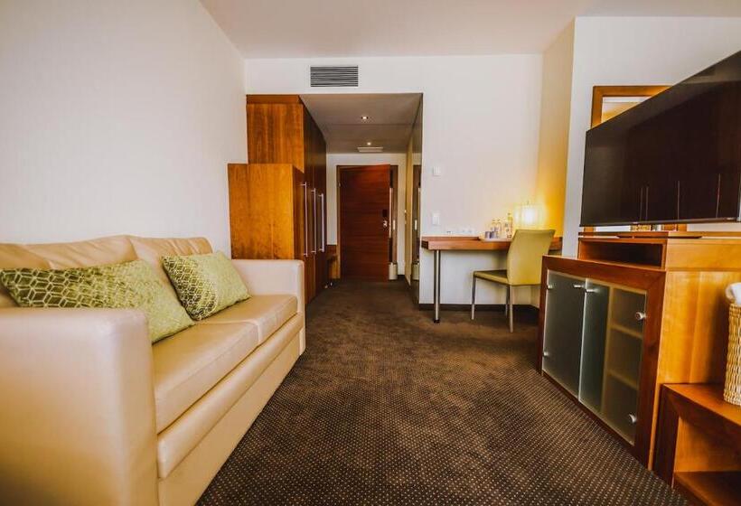 Superior room with lake view, Seehotel Süd