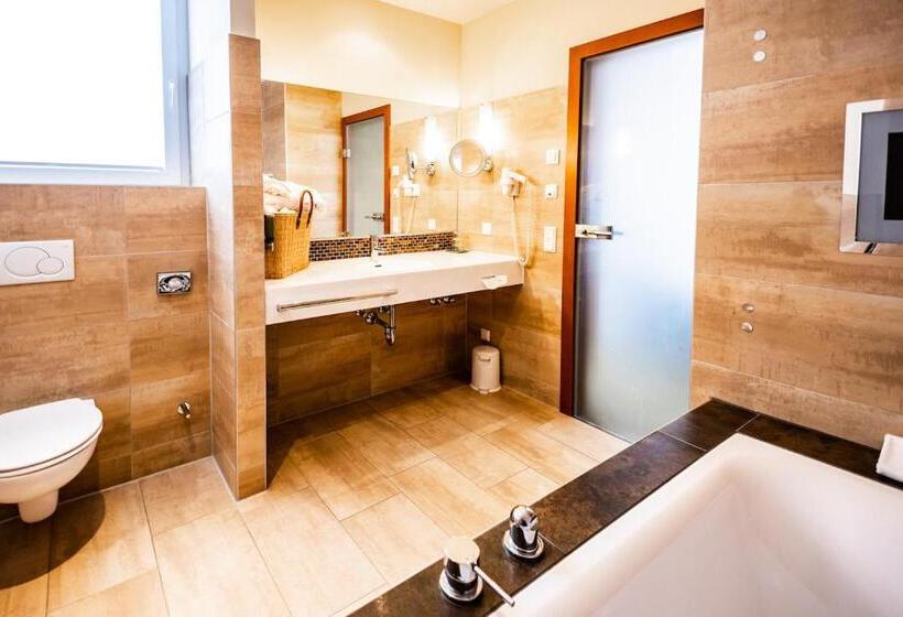 Superior room with lake view, Seehotel Süd