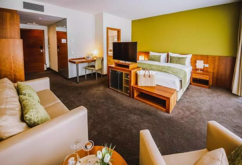 Superior room with lake view, Seehotel Süd