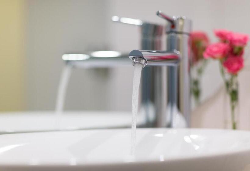 اتاق لوکس, Bayer S