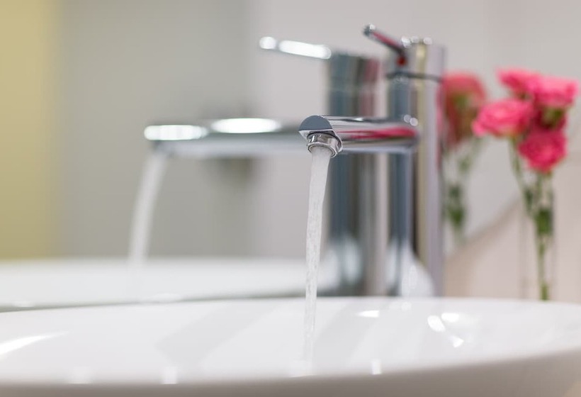 اتاق لوکس, Bayer S