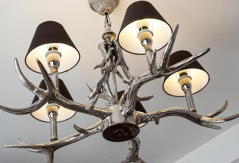 标准单人间, Elch