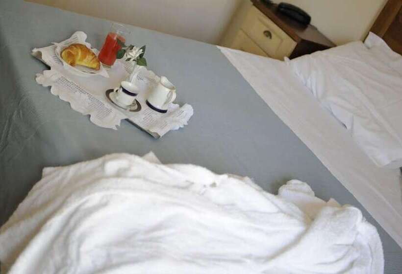 اتاق استاندارد سه نفره, Fly