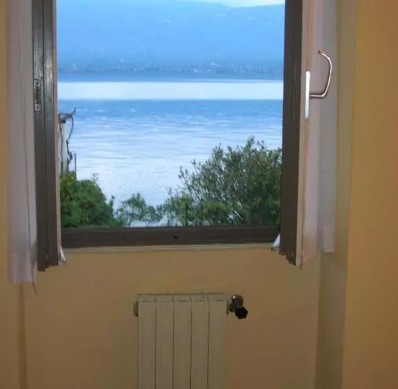 スタンダードシングルルーム, Lido