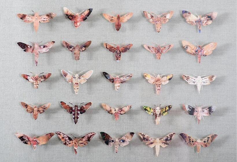 سوییت, South Place