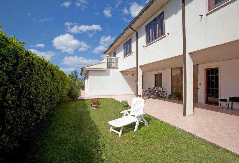 اتاق استاندارد با چشمانداز باغ, Tris