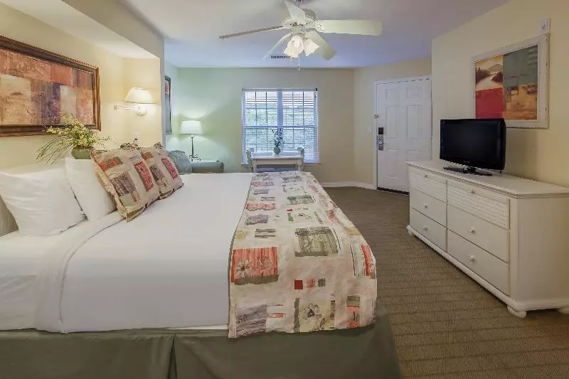 Standard Single Room, Charlotte Guest House