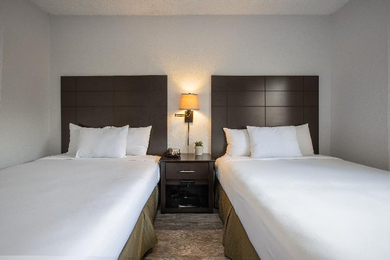 Standard Cuadruple Room Shared Bathroom, Charlotte Guest House