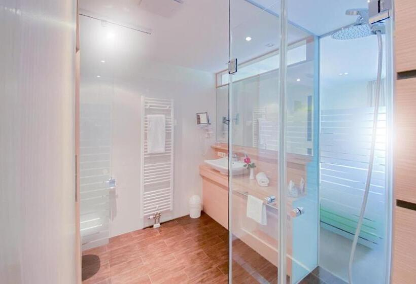 高级大房间, Aktiv Sporthotel Sächsische Schweiz