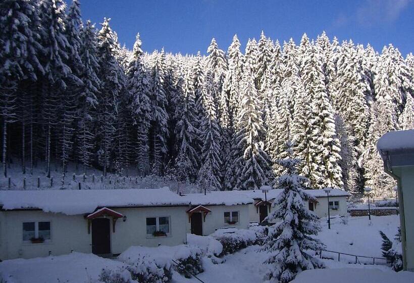 스탠다드 룸, Pension Am Waldesrand