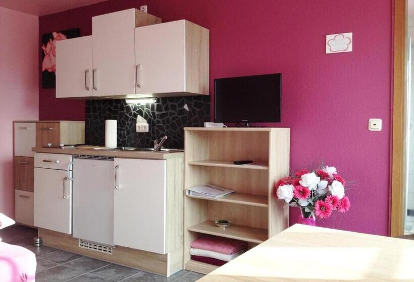 Номер Deluxe с Балконом, Pension Blumen Villa