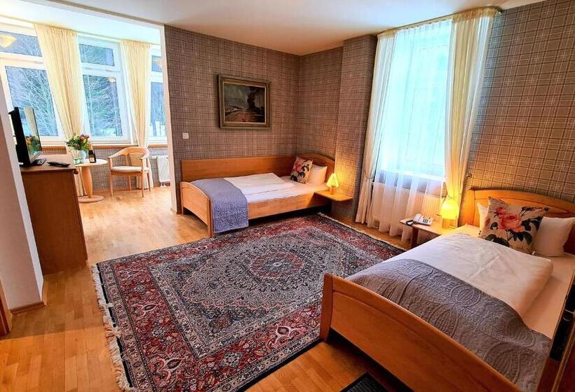 스탠다드 룸, Ferien Residenz Thüringer Wald