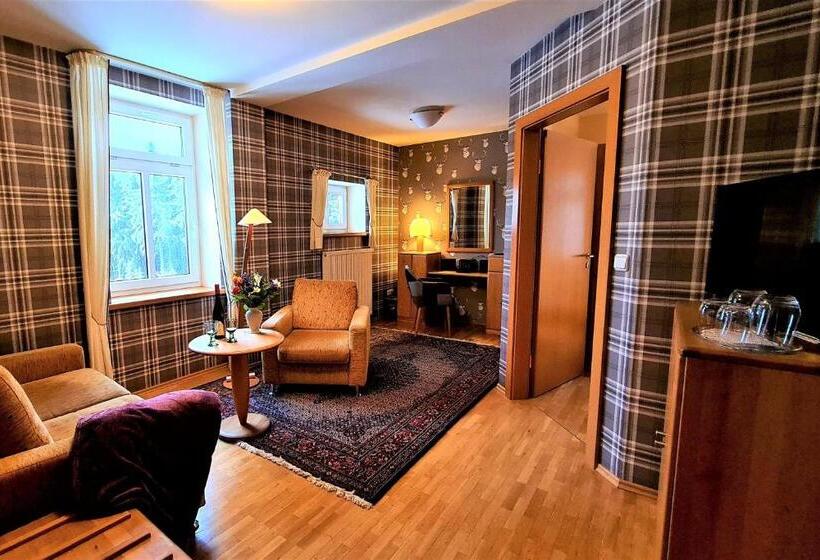 스탠다드 룸, Ferien Residenz Thüringer Wald