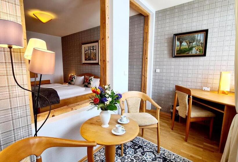 스탠다드 룸, Ferien Residenz Thüringer Wald