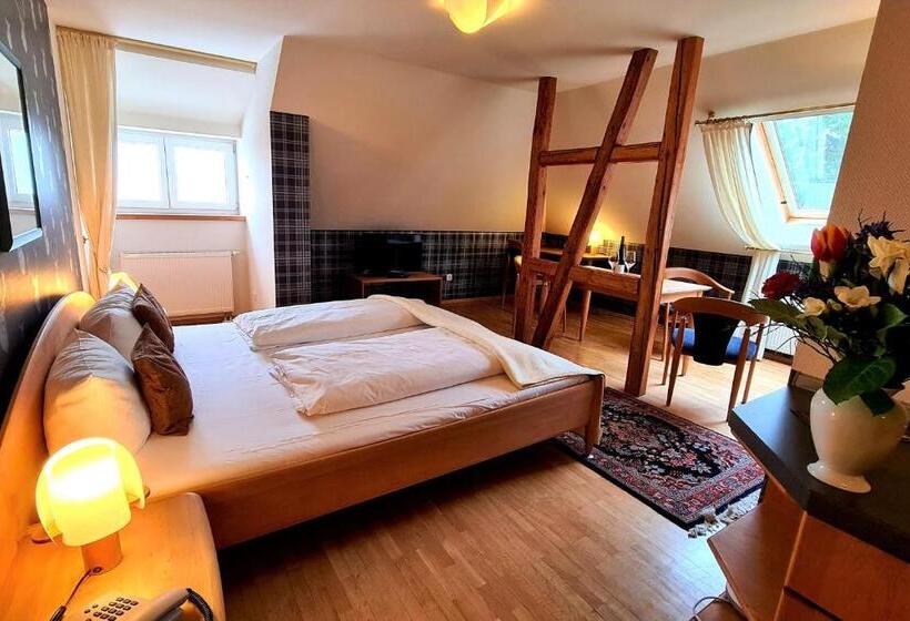 스탠다드 룸, Ferien Residenz Thüringer Wald