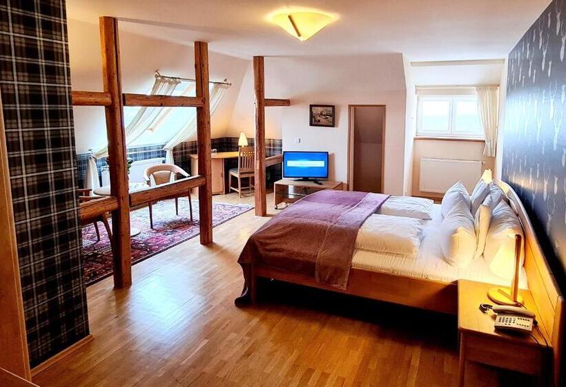 스탠다드 룸, Ferien Residenz Thüringer Wald