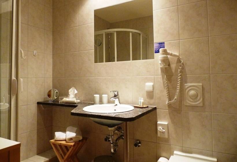 스탠다드 싱글 룸, Ferien Residenz Thüringer Wald