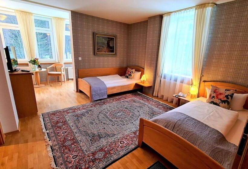 스탠다드 룸, Ferien Residenz Thüringer Wald