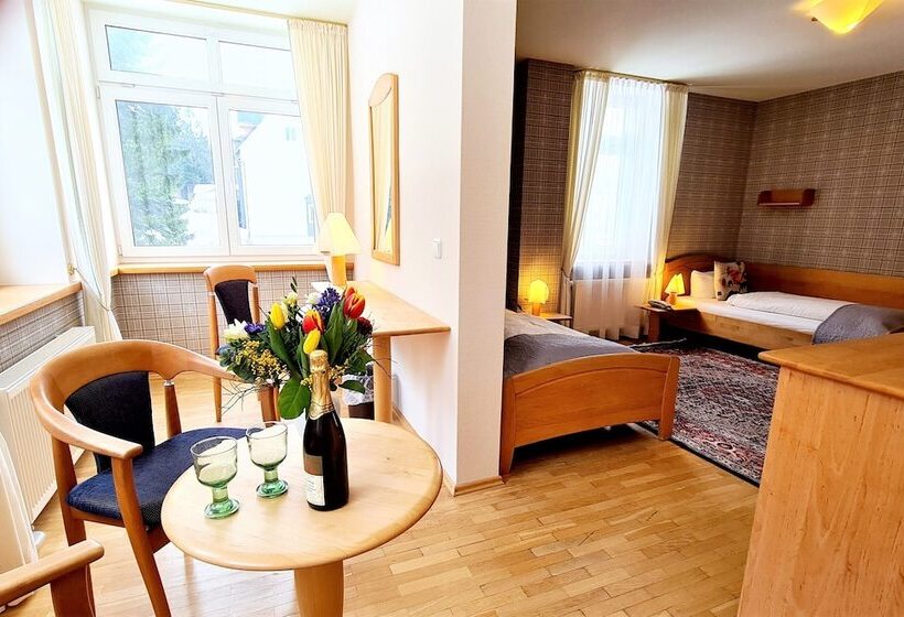 스탠다드 룸, Ferien Residenz Thüringer Wald