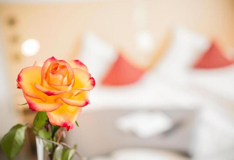 חדר סטנדרט, City Hotel Garni