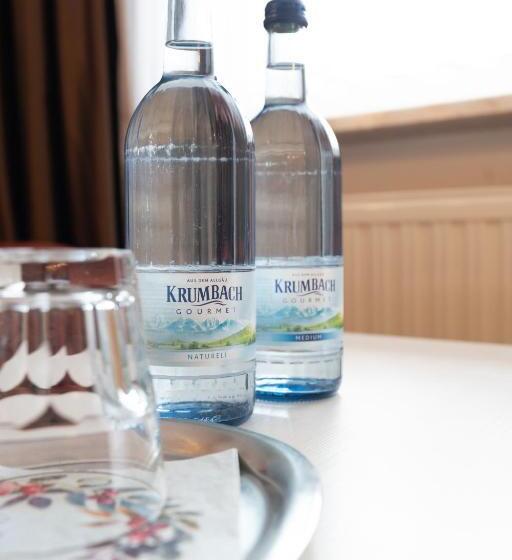 スタンダードルーム, Eisensteiner Hof