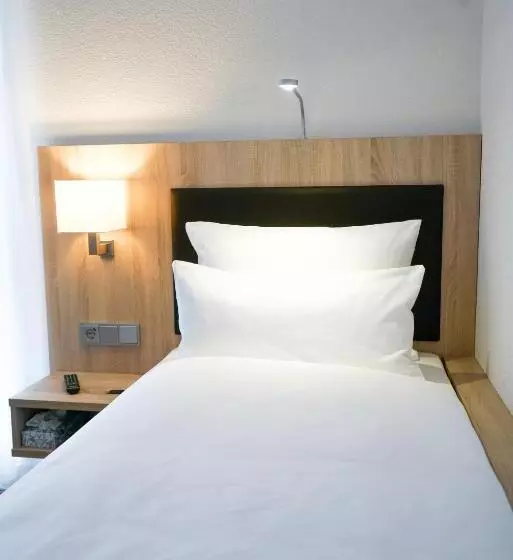 エコノミーシングルルーム, Go2bed Weil Am Rhein   Basel