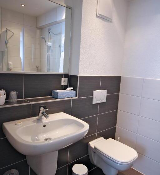 带阳台精选间, Go2bed Weil Am Rhein Basel