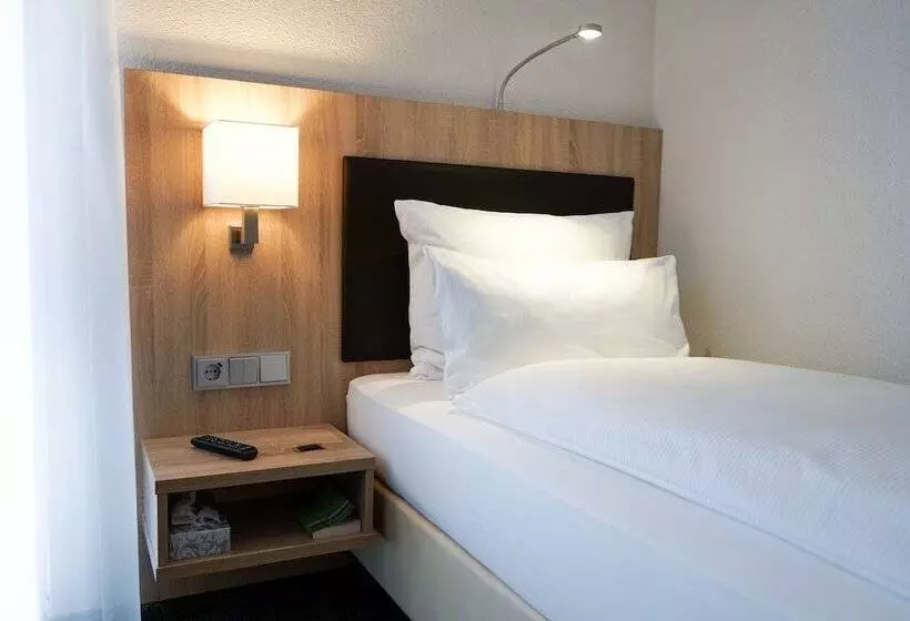 エコノミーシングルルーム, Go2bed Weil Am Rhein   Basel