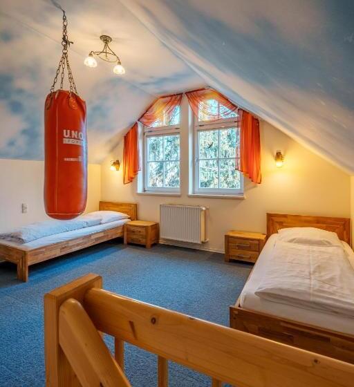 جناح, Konig Ludwig