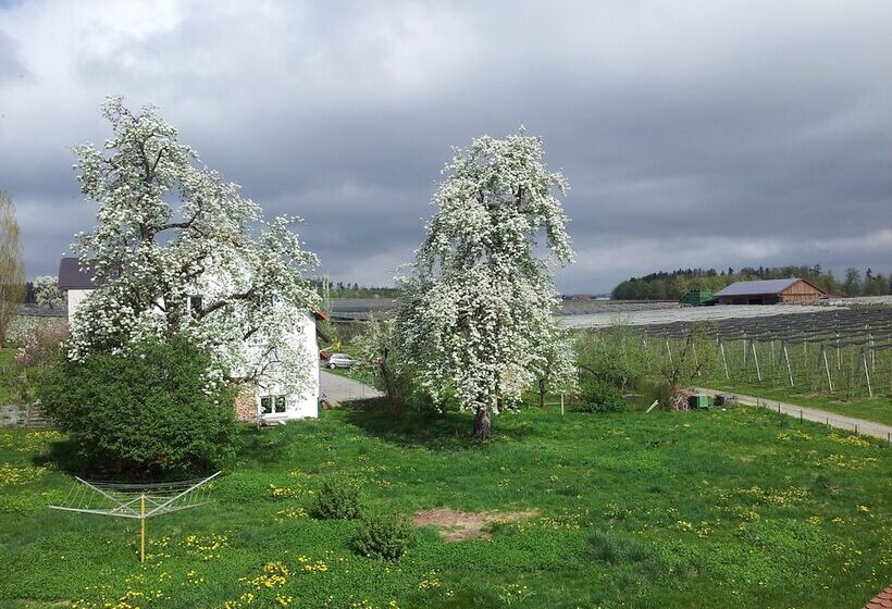 Suite, Landhotel Elfenhof