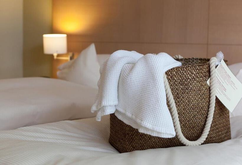 غرفة كومفورت, Schepers