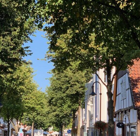 스탠다드 룸, Teutonia