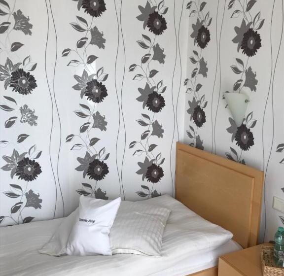 스탠다드 싱글 룸, Teutonia