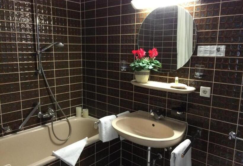 스탠다드 싱글 룸, Teutonia