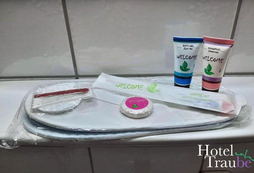 スタンダードシングルルーム, Traube Hotel öffingen